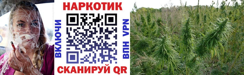 Купить закладку Канабис  COCAIN  Мефедрон  Полярные Зори