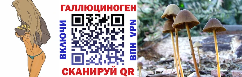 Купить где  Полярные Зори  Псилоцибиновые грибы Magic Shrooms 